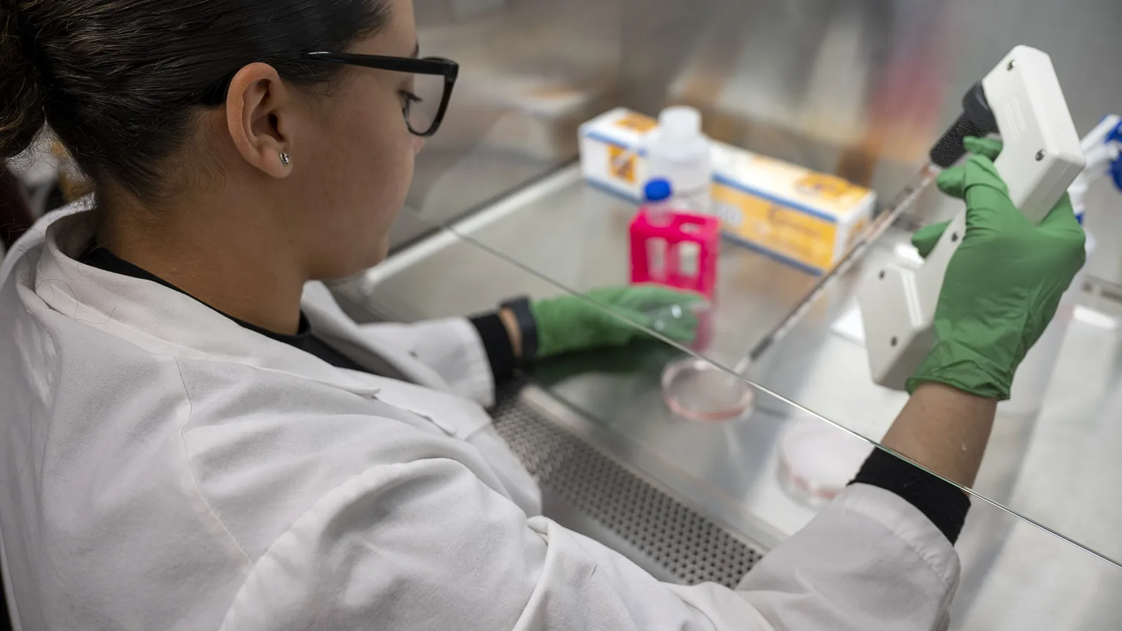 Student doing research in lab
