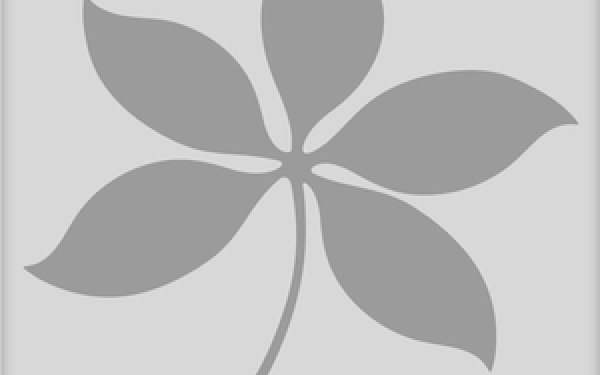 Default Image