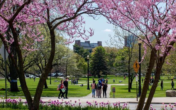 Oval in Spring time