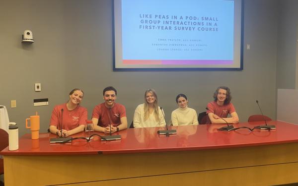 Peer mentors presenting at a conference