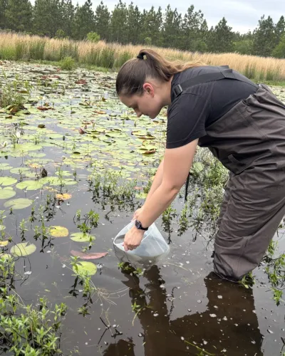 Dr. Anne Sabol leading release of tadpoles into local waterway