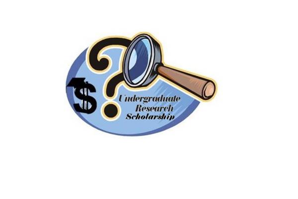 Undergraduate Research Scholarship