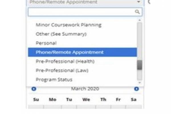 Select Phone/Remote Appointment from the Service dropdown