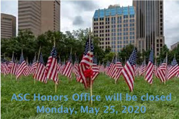 American flags on grassy area outside city